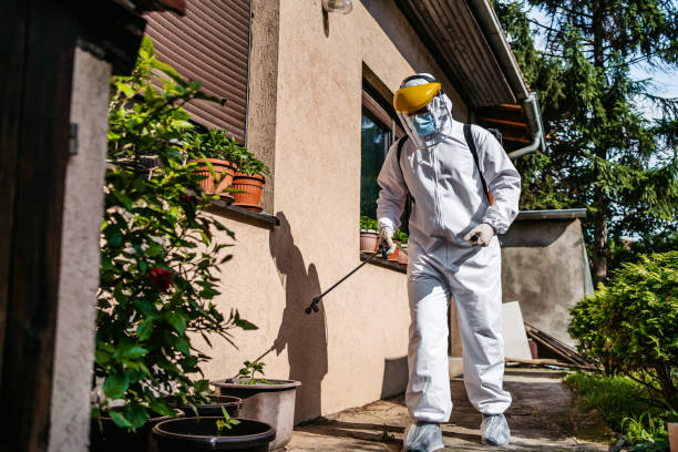 Best Affordable Pest Control Services  in Browns Mills, NJ