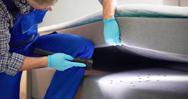 Pest Control for Restaurants in Browns Mills, NJ