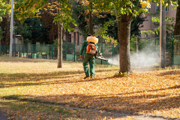 Best Mosquito Control Services  in Browns Mills, NJ
