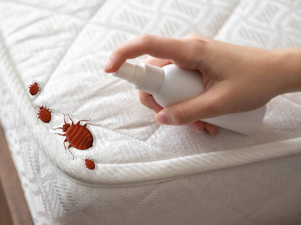 Reliable Browns Mills, NJ Pest Control Solutions
