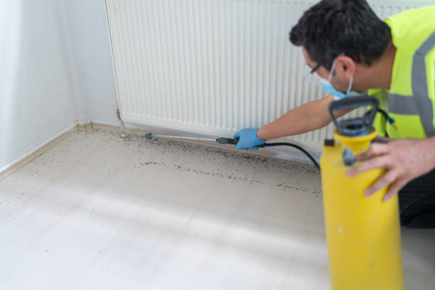 Best Best Pest Control Near Me  in Browns Mills, NJ