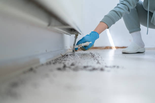 Pest Prevention Services in Browns Mills, NJ