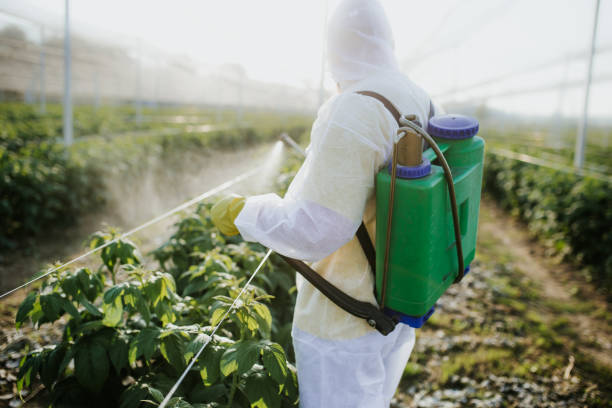 Best Pest Prevention Services  in Browns Mills, NJ